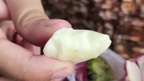Unique Water Fruit Farming of India |Most Unseen Water Fruit Farming of India