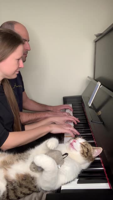 A Cat and Two Pianists