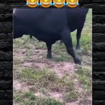 Taterbug did not want the smoke