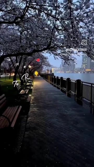 Mention your love ❤️❤️❤️