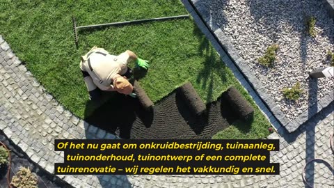 Professionele Hovenier in Haarlem – Tuinonderhoud & Ontwerp | HovenierHaarlem.net