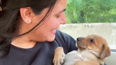 Puppy love and care | Dog’s Reaction to Owner Coming Home Early