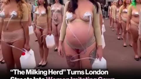 And you wonder why Britain has fallen into the claws of Islamists.