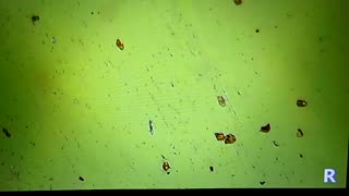 Our rain here 2/8/26: