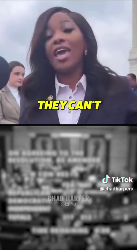 Idiot and Democrat Darling Jasmin Crockett Underestimates Republicans