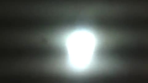 Moth flies around the fluorescent light and leaves [Nature & Animals]