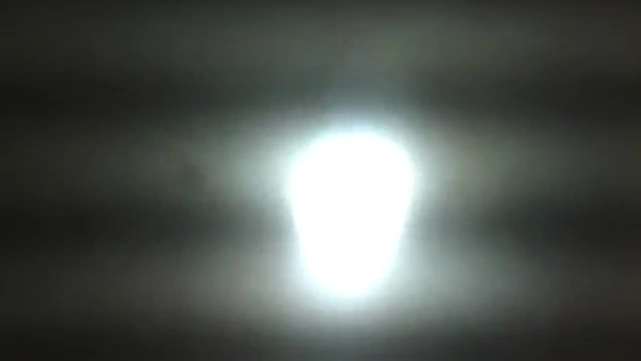 Moth flies around the fluorescent light and leaves [Nature & Animals]