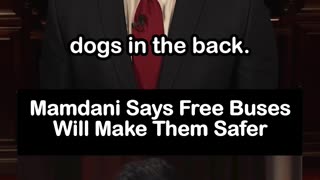 Zohran Mamdani Says Free Bus Fares Would Make Buses Safer