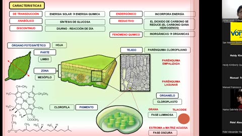 VONEX SEMIANUAL 2023 | Semana 08 | Biología S1