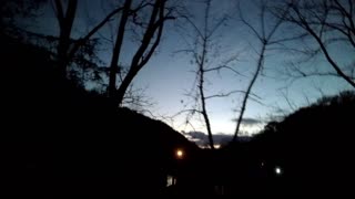 11-08-2025 Buck Follows The Squirrel