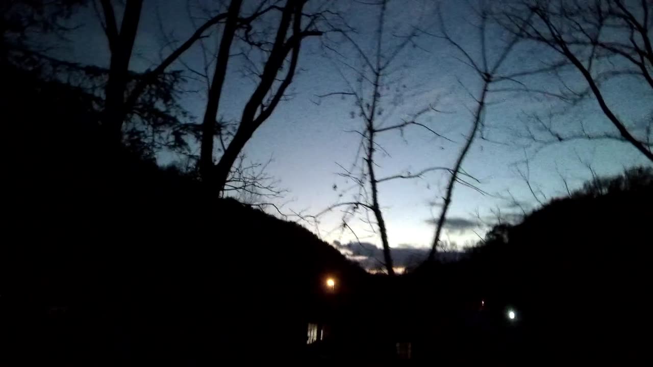 11-08-2025 Buck Follows The Squirrel