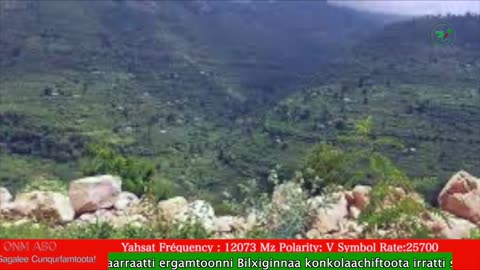 Oduu Galgala ONM-ABO Bitootessa 13-2025 itti dhiyaadhaa!