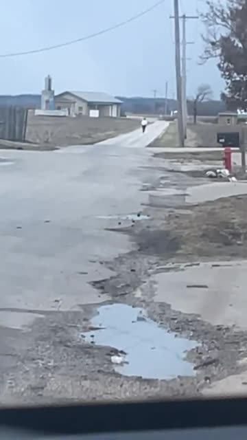 Glitched Person Running in Place