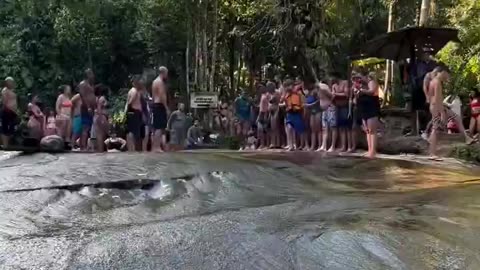 Doggo having some fun ❤️