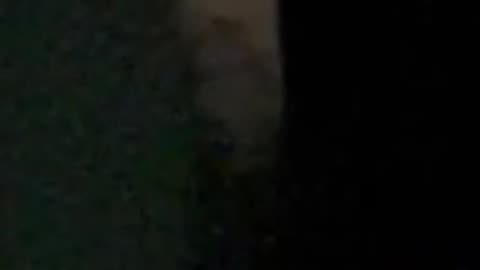 😱👻 My Mom Caught Something Terrifying in Our Backyard Last Night! 😰 | TheHauntingHour