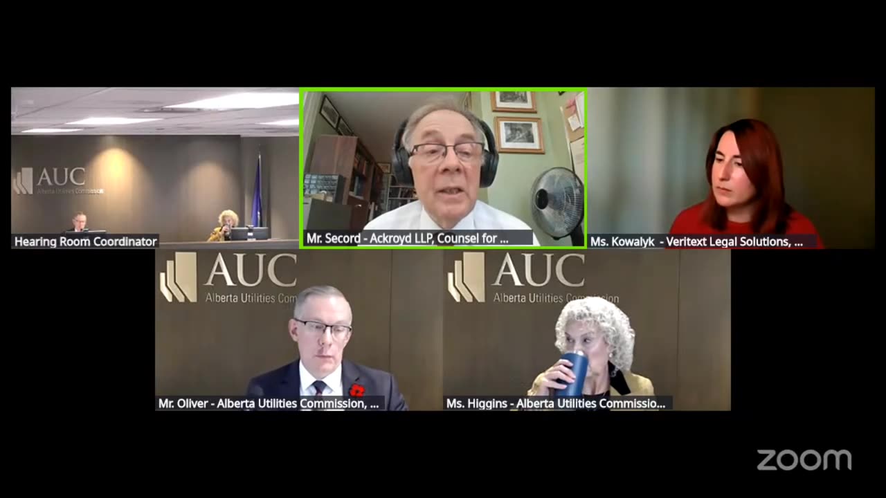 AUC Proceeding #29252 Red Willow Solar + Storage Day 4 part 2
