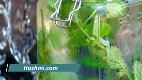 Khali Pet Pudina Pani ke fayde