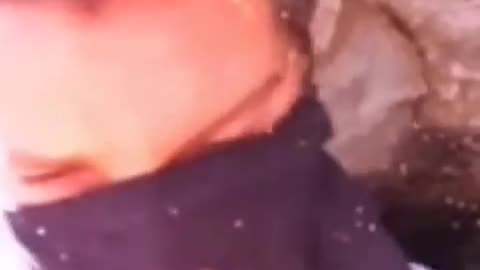 😮🐝 Bear Grylls Gets Stung by a Bee and Transforms into Benedict Cumberbatch!