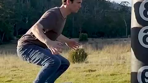 HOW ANIMALS FIGHT