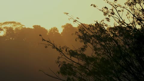 After Hours House Lofi Session