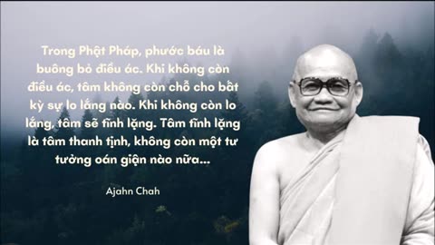 Phước Báu Và Hạnh Phúc - Ajahn Chah