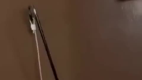 😨🔒 Terrifying Hotel Break-In Caught on Camera! | TheHauntingHour
