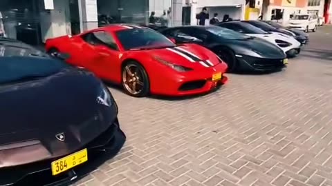 ✨ Pick Your Ultimate Luxury Car! 🚗 #k_cars #report_test_001 | LuxurySportsCars