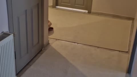 👁️🚪 The Hidden Guest: Locked Doors Can’t Keep This Terror Out | TheHauntingHour