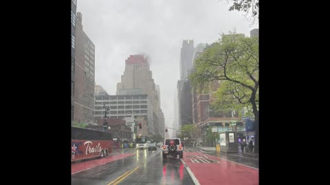 The Collection of Poems - Volume One