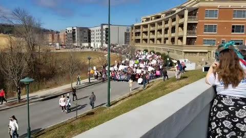 Chattanooga TN Women's March With The Family and Redneck Sledding