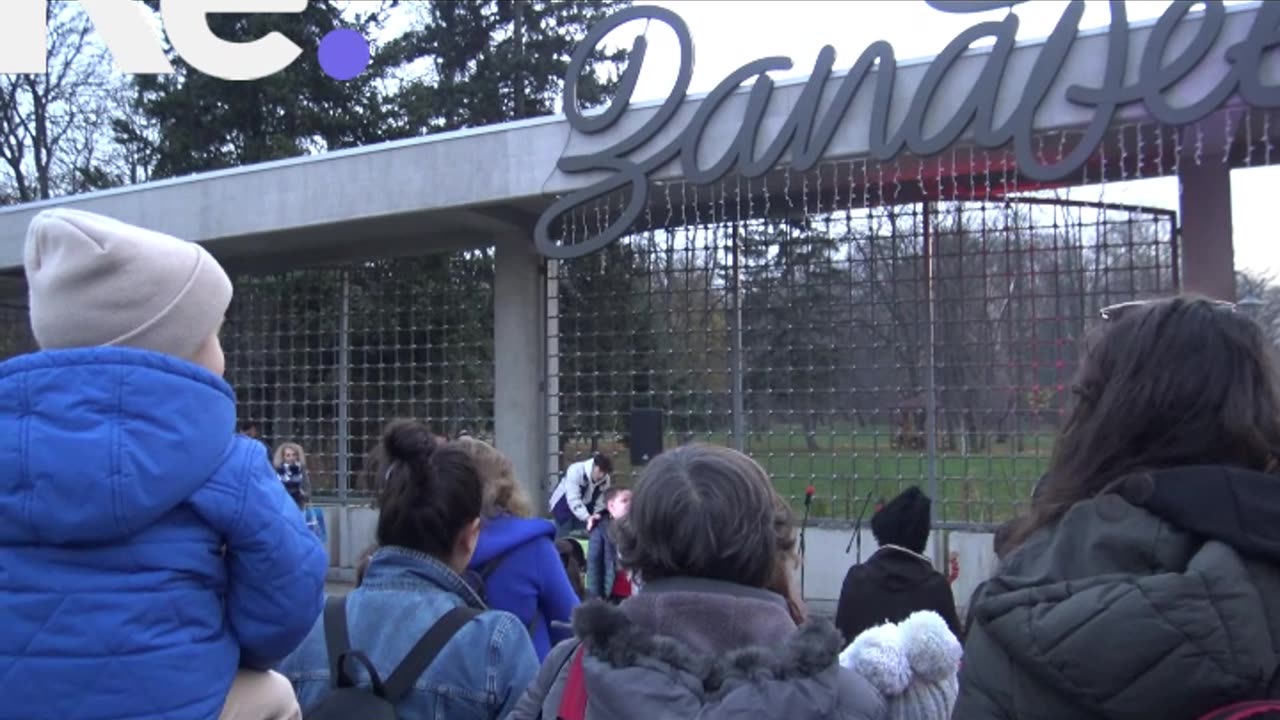 Запалване на коледната елха " Илинден "