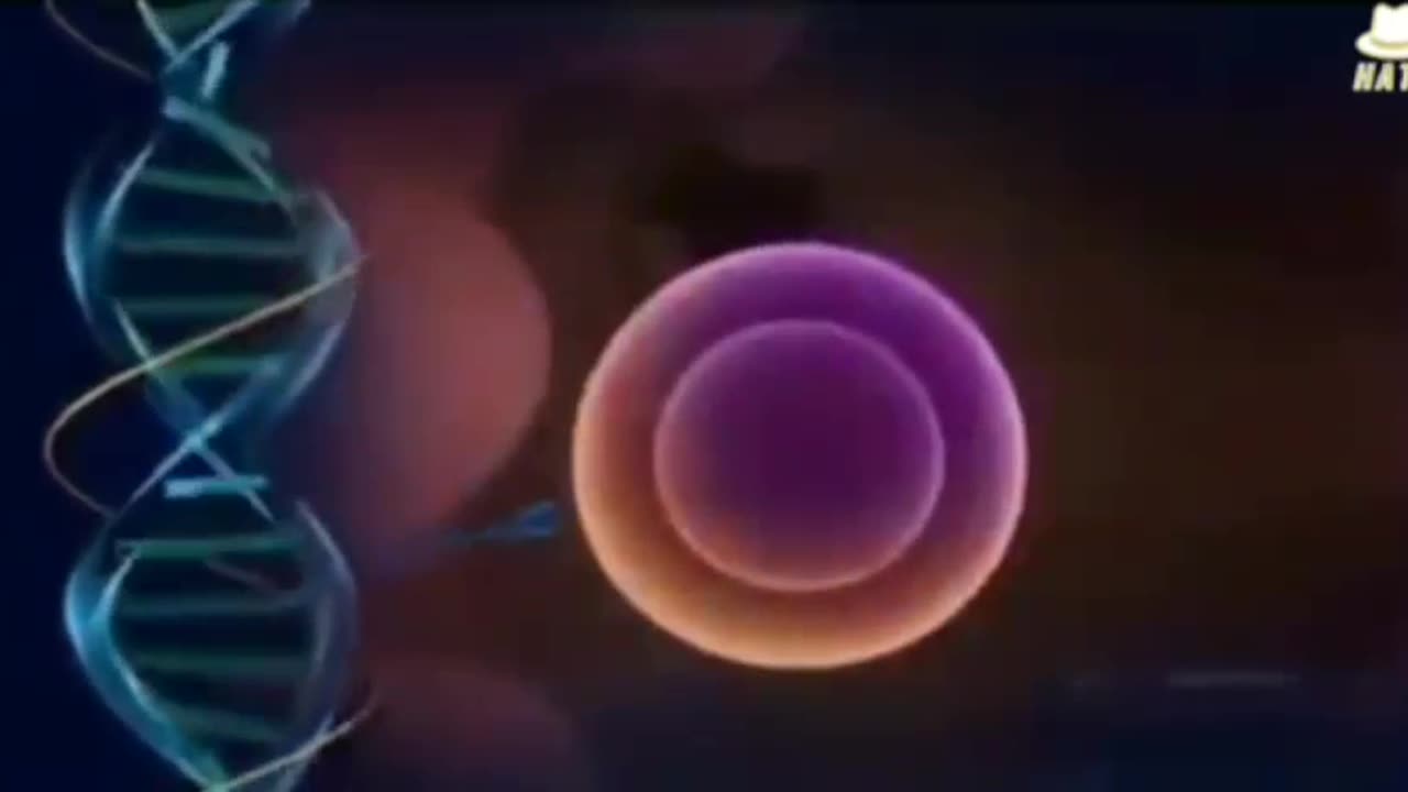 GMO Patented chemical Epicyte is designed to make men and women infertile