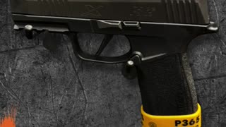 Sig Sauer P365X Macro