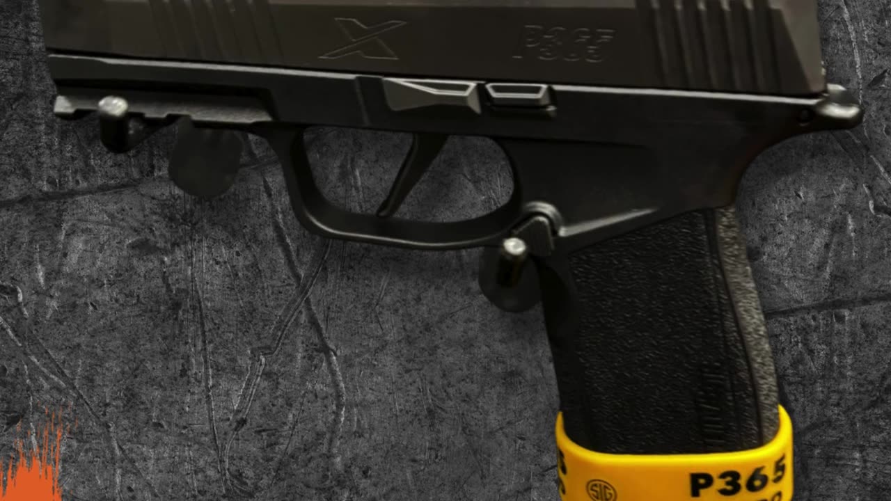 Sig Sauer P365X Macro