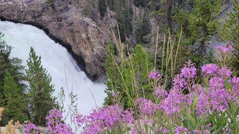 Upper Falls in Yellowstone National Park