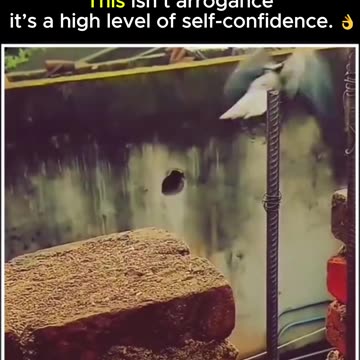 Confidence isn’t arrogance — it’s awareness of your worth. 💪