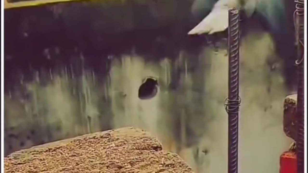 Confidence isn’t arrogance — it’s awareness of your worth. 💪