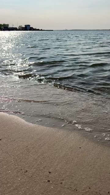 Nature’s White Noise