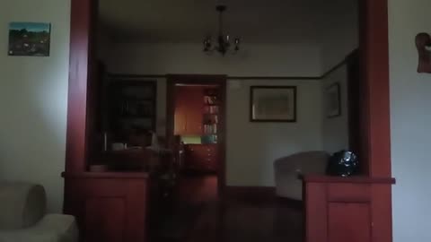 Little Bill Tries to Go See Piece by Piece in Theaters and Gets Grounded