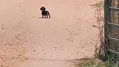 he waits at the bus stop every day for his girl to get home