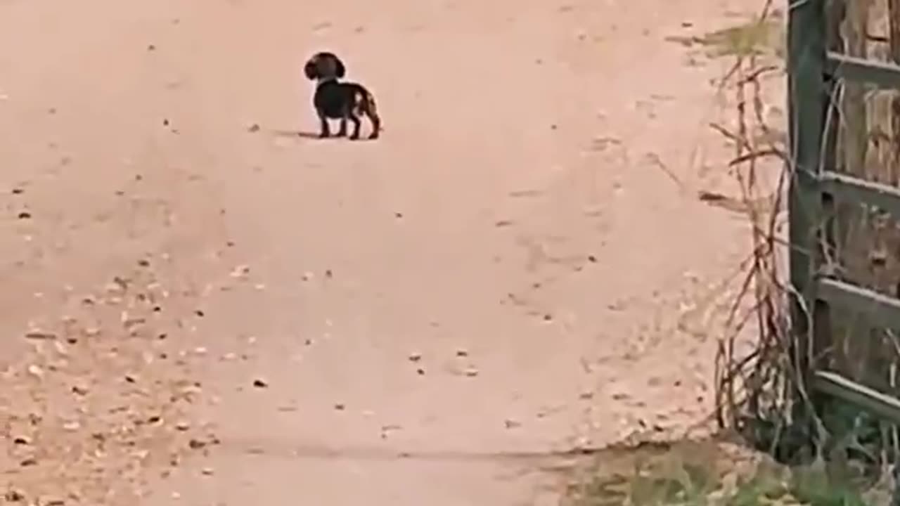 he waits at the bus stop every day for his girl to get home