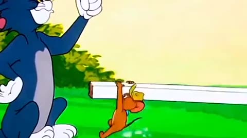 Tom and Jerry 💫💫