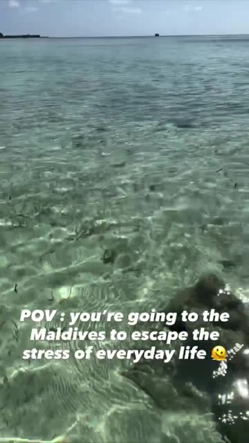 Rest and relaxation sun and sand they said 🤣