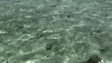 Rest and relaxation sun and sand they said 🤣