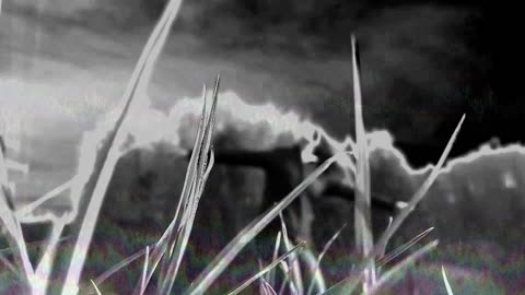 Cruxxx - Bittersweet Illusion