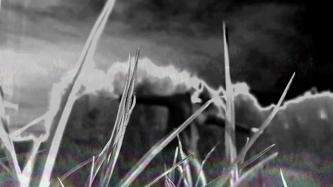 Cruxxx - Bittersweet Illusion