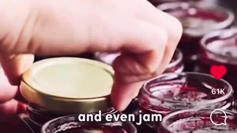 🤯✨ You Won't Believe What's Banned in Gaza by Israel! | FeedMyCuriosity