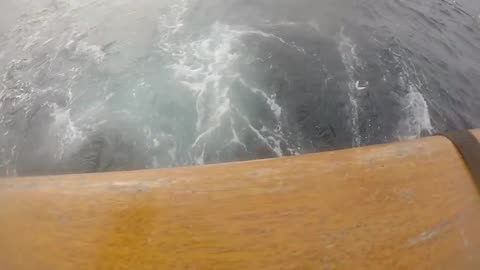 New Year Bonito Double! Daily Double Sportfishing in Winter!