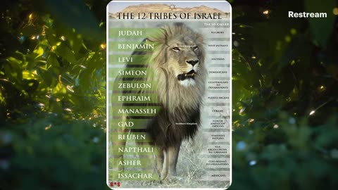 Prophecy Watch: 🚨⚠ Pestilences and plagues in the LAST DAYS⚠ 🚨