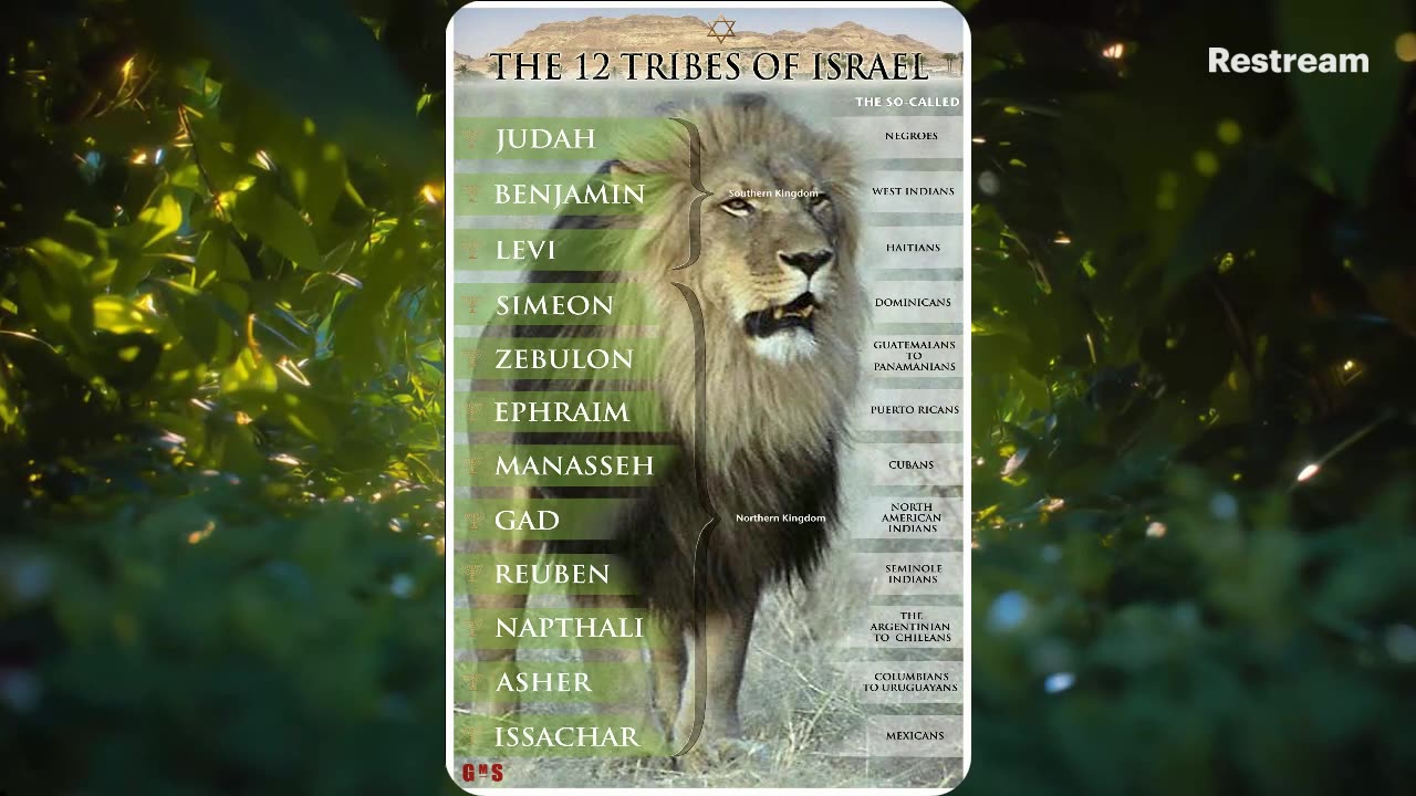 Prophecy Watch: 🚨⚠ Pestilences and plagues in the LAST DAYS⚠ 🚨